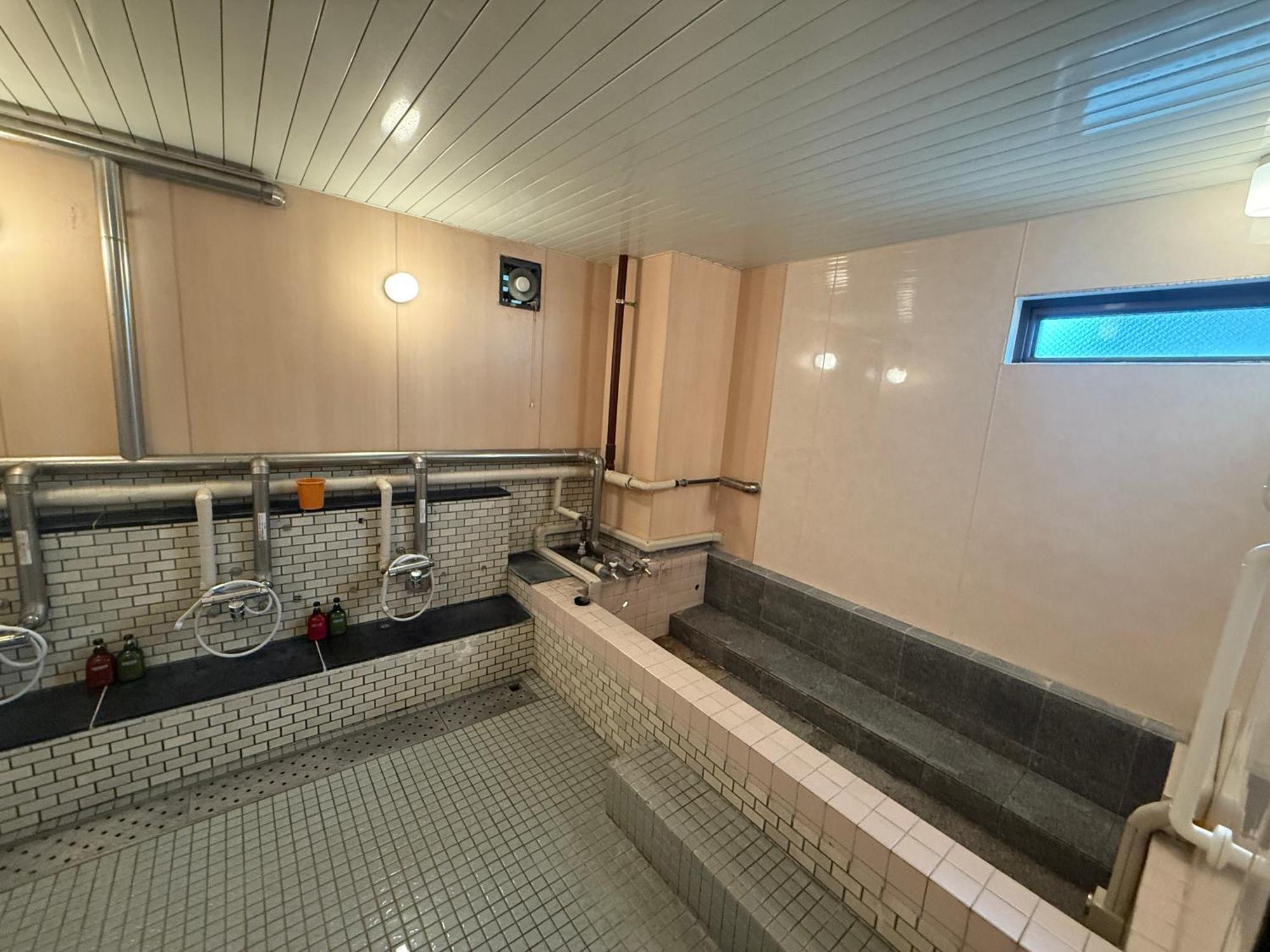 קאגושימה Hotel Kamoike Plaza מראה חיצוני תמונה